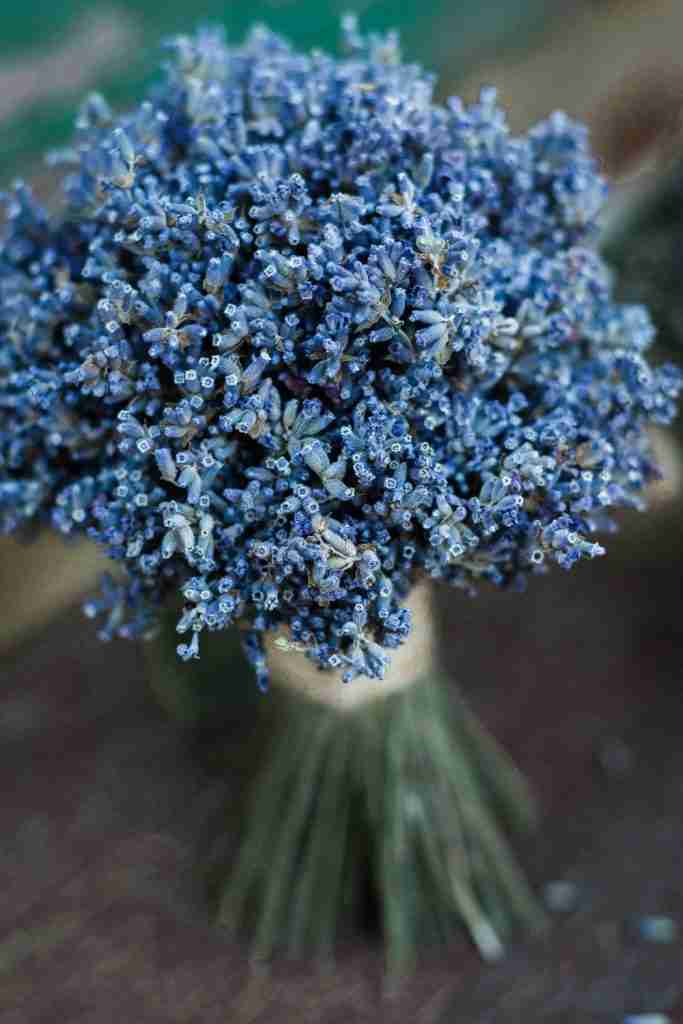 Creating Stunning Event Decor with Affordable Flower Rentals