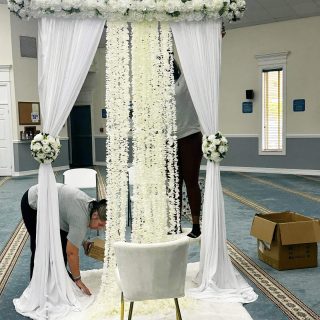 IMG_4597 IMG_4597