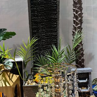 IMG_5849 IMG_5849