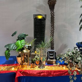 IMG_5851 IMG_5851